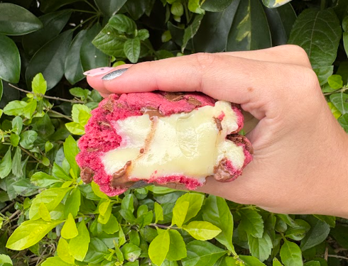 Cookie Red Velvet